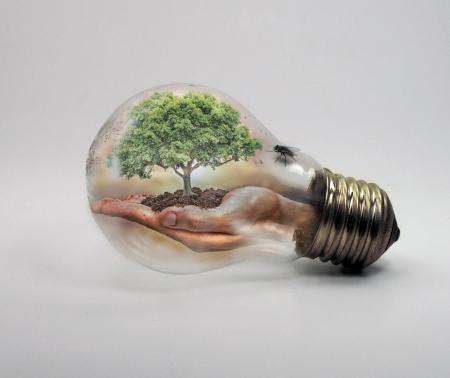 bulb climate change